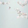 Komar Vliesfototapete Apple Bloom: Zarte Blütenzweige und Vögel auf hellblauem Hintergrund.