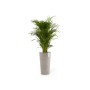 Hoher, taupefarbener Ecopots Pflanztopf Amsterdam mit grüner Pflanze, ideal für Innen- und Außenbereiche.