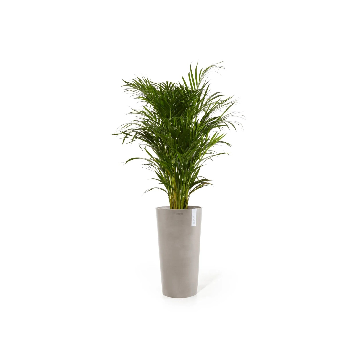 Hoher, taupefarbener Ecopots Pflanztopf Amsterdam mit grüner Pflanze, ideal für Innen- und Außenbereiche.