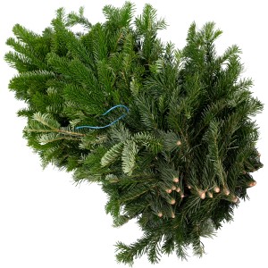 Bund Tannenzweige der Nordmanntanne (5 kg) für Adventsgestecke und Weihnachtsdeko.