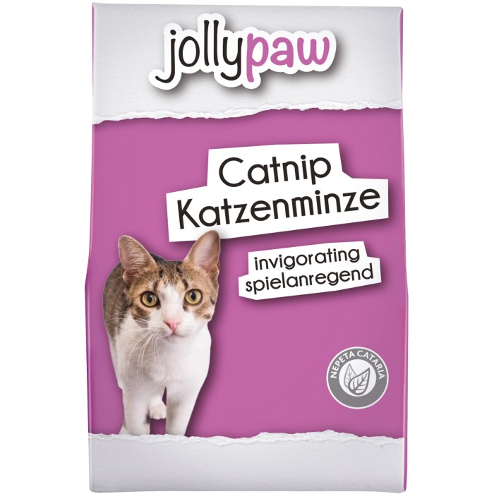 Katzenminze kaufen bei OBI