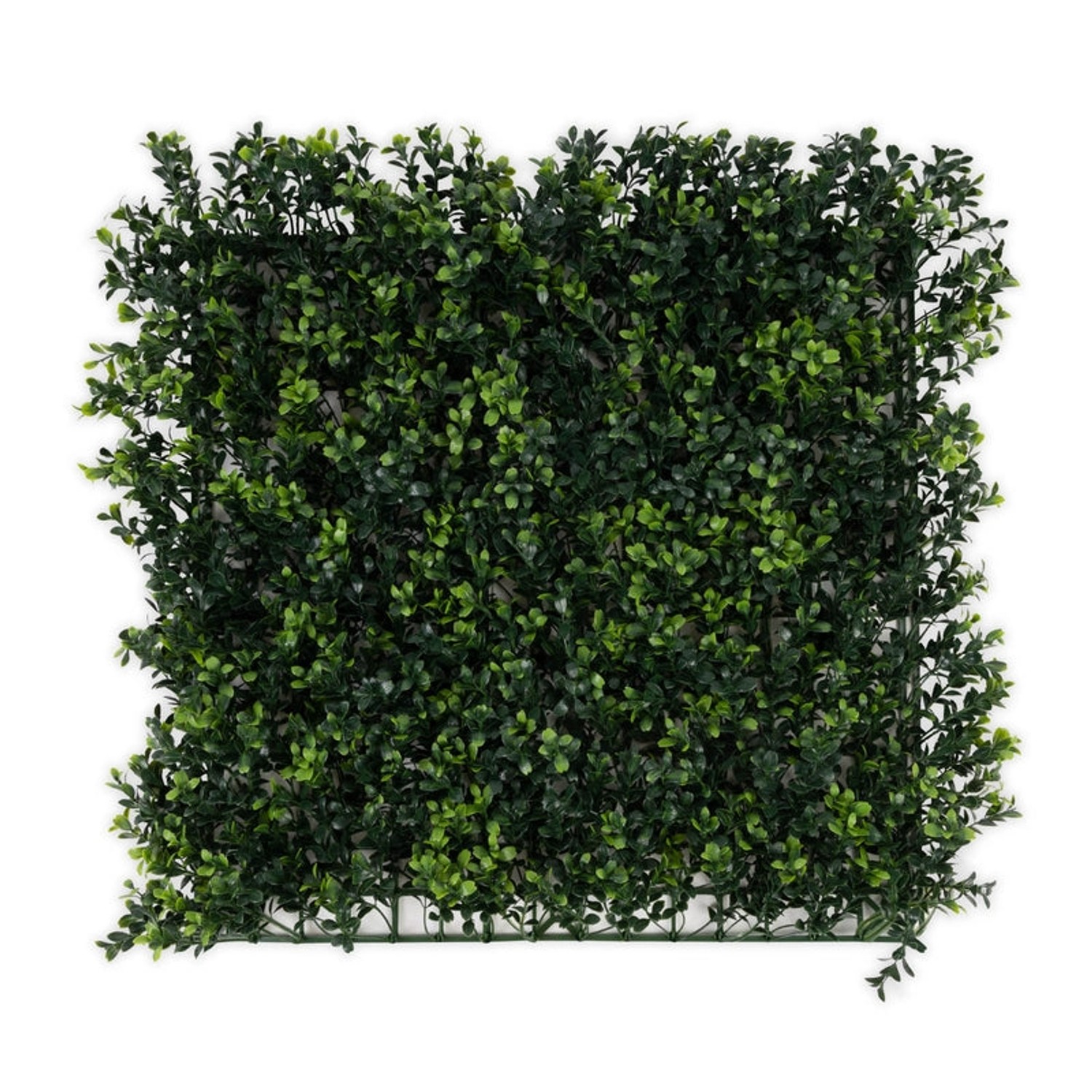 KARAT Pflanzenwand Boxwood Kunstpflanze zur Dekoration 50 x 50 cm