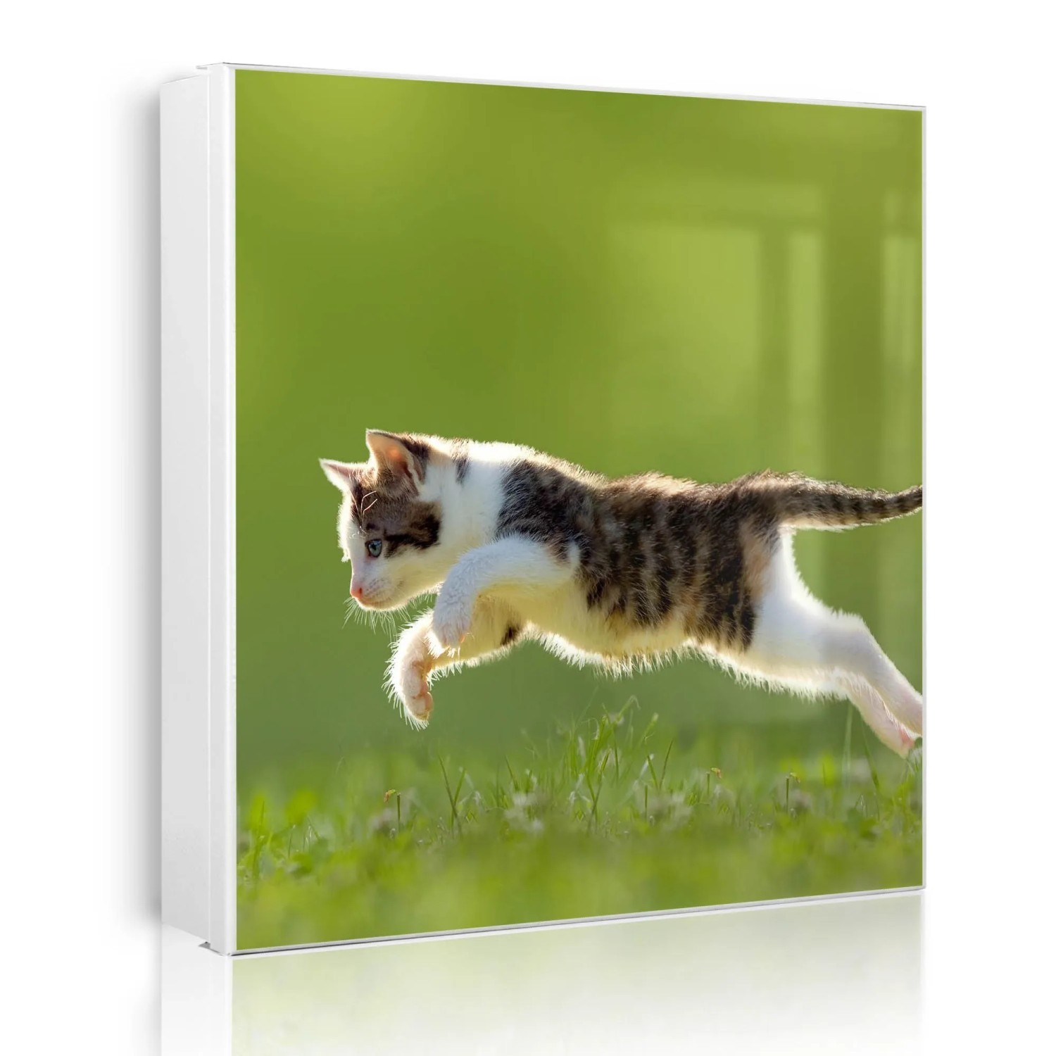 Banjado Großer Schlüsselkasten Metall 30x30cm Weiß Scharnier Links 50 Haken Beschreibbar Magnetisch Motiv Jagende Katze