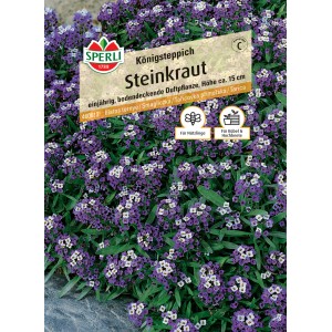 Sperli Steinkraut Königsteppich, lila-weiße Blüten, ideal für Steingärten und Blumenkästen.