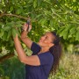 Frau schneidet mit Gardena Gartenschere PremiumCut einen Ast im Garten.