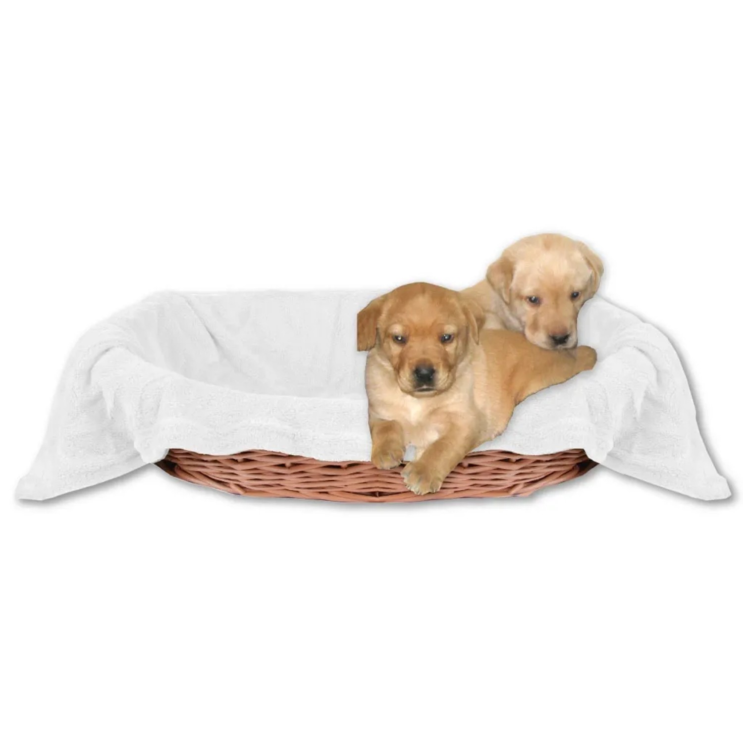 Zwei Labradorwelpen kuscheln in einem Hundekorb mit weißer Bestlivings Mikrofaser Hundedecke.