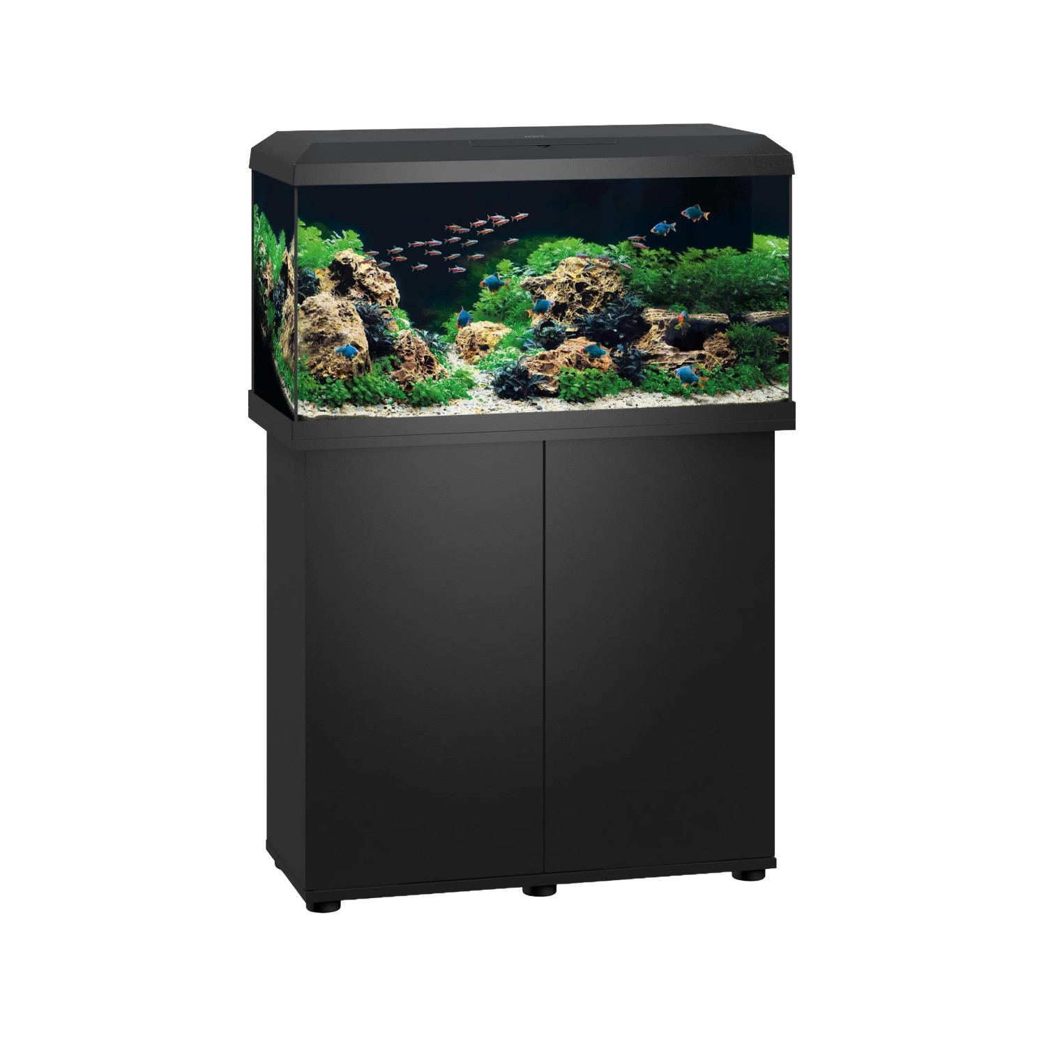 Schwarzes Juwel Aquarium-Set Primo 110 mit Unterschrank, befüllt mit Fischen und Pflanzen.