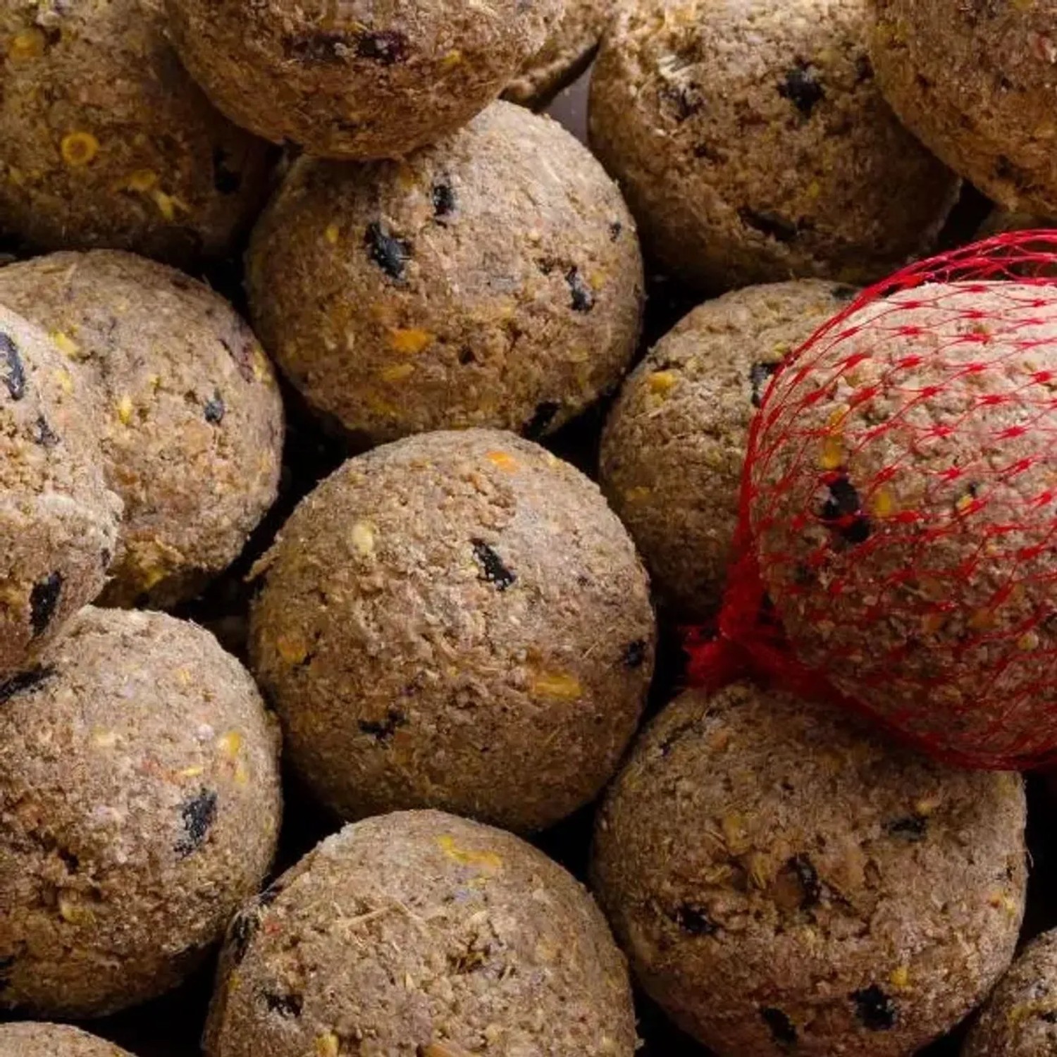 Klasebo Meisenknödel Mit Insekten 100 Stück