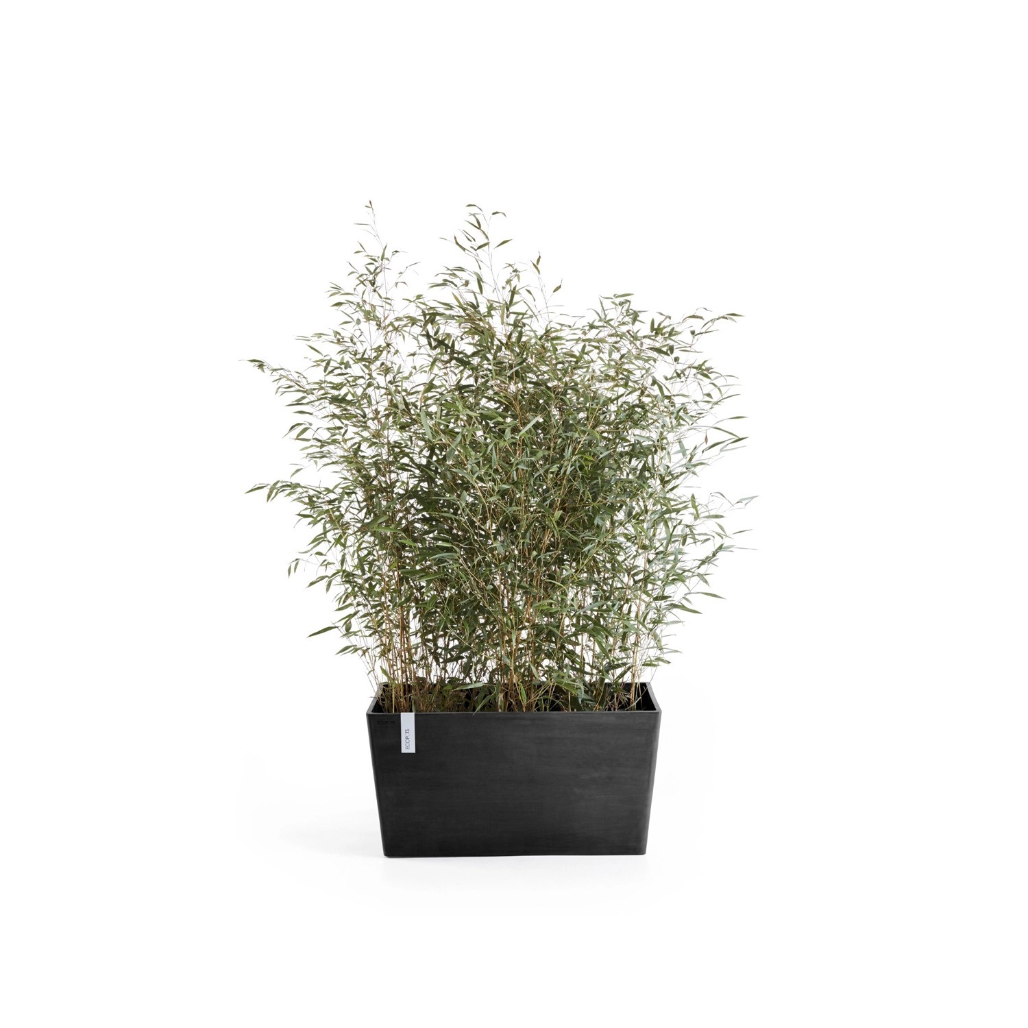 Dunkelgrauer Ecopots Pflanztopf Paris, 80x38x40 cm, mit Bepflanzung. Ideal für Terrasse und Balkon.