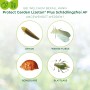 Protect Garden Lizetan Plus Schädlingsfrei AF: Übersicht der Schädlinge (Zikade, Weiße Fliege, Schildlaus, Blattlaus)