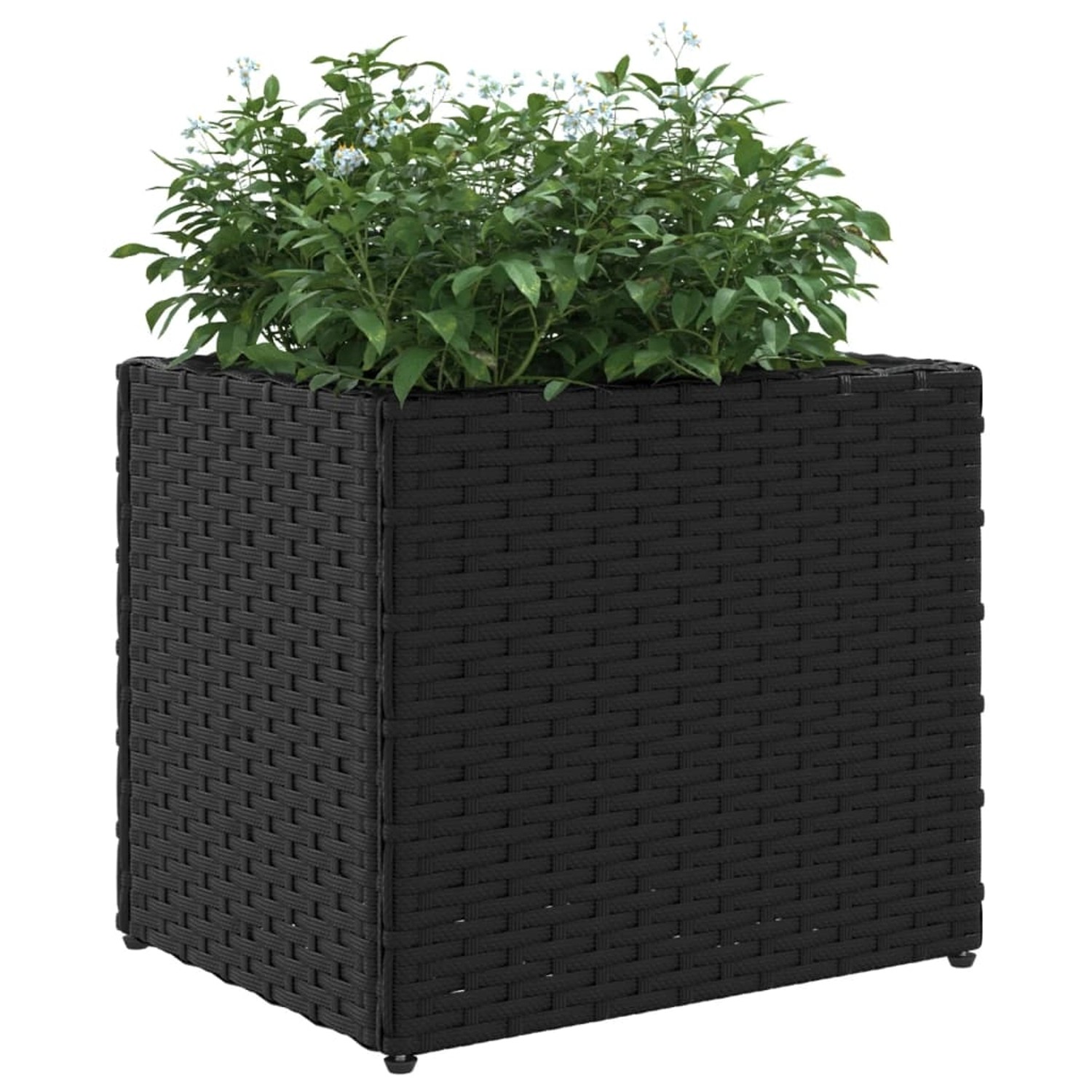 vidaXL Pflanzkübel 2 Stk Schwarz 36x30x32 cm Poly Rattan 2104045 günstig online kaufen