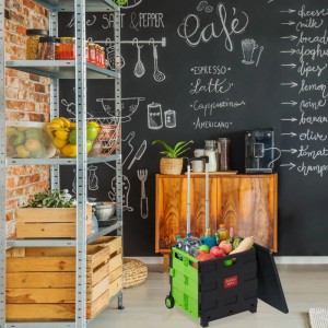 Relaxdays Einkaufstrolley ABS Aluminium Grün Klappbar 99 cm x 45,5 cm x 37,5 cm 3 kg