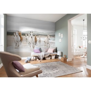 Komar Fototapete White Horses (368x254 cm) im Wohnraum. Tapete mit weißen Pferden am Strand.