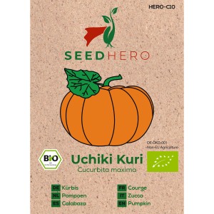 Seedhero BIO Kürbis Uchiki Kuri Samenpackung mit Kürbis-Illustration.