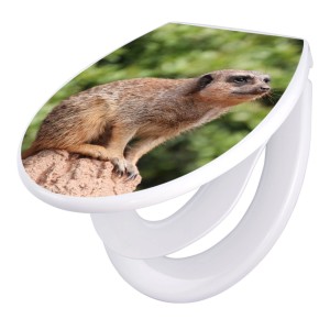 Banjado WC-Sitz Familie mit Erdmännchen-Motiv, Absenkautomatik, Kindersitz, Polypropylen.