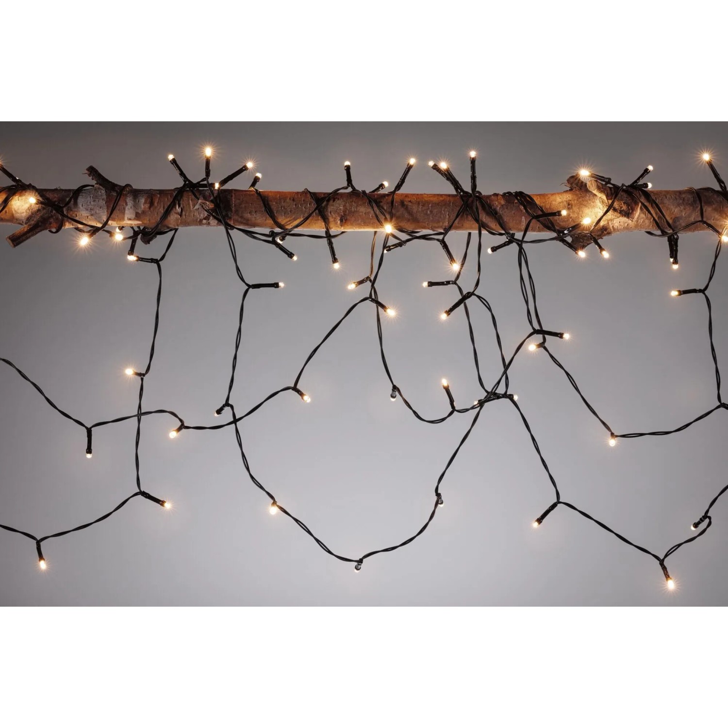 Paulmann Yuna Plug & Shine LED-Lichterkette, 5m, warmweiß, schwarz, dekorativ auf Ast für Außenbereich.