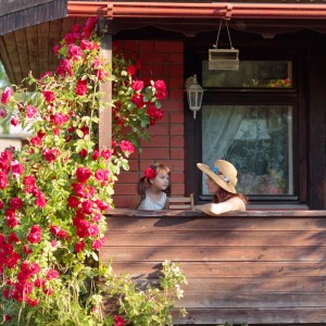 Holz-Vogelfutterhaus mit Mutter und Kind am Fenster, umrankt von roten Rosen.