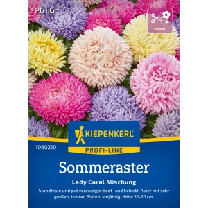 Kiepenkerl Sommeraster Lady Coral Mischung mit bunten Blüten.