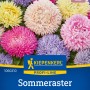 Kiepenkerl Sommeraster Lady Coral Mischung mit bunten Blüten.