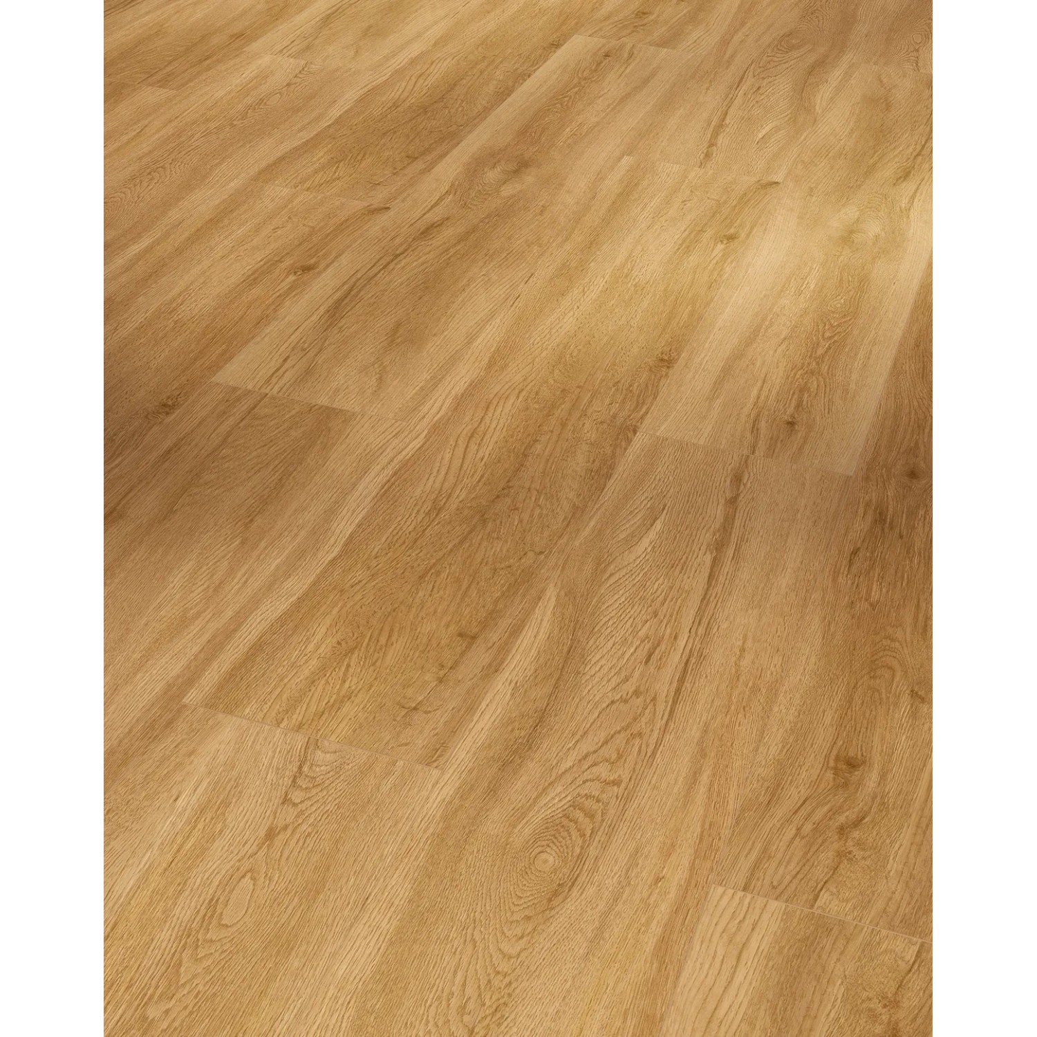 Parador Vinylboden Basic 5.3 Eiche Sierra Natur in warmer Holzoptik. Klick-Vinyl für Wohn- und Gewerberäume.