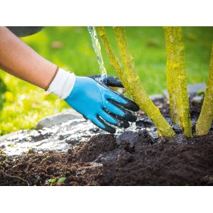 Blau-schwarzer Gartenhandschuh mit Nitrilbeschichtung, Größe 9, bei der Gartenarbeit.