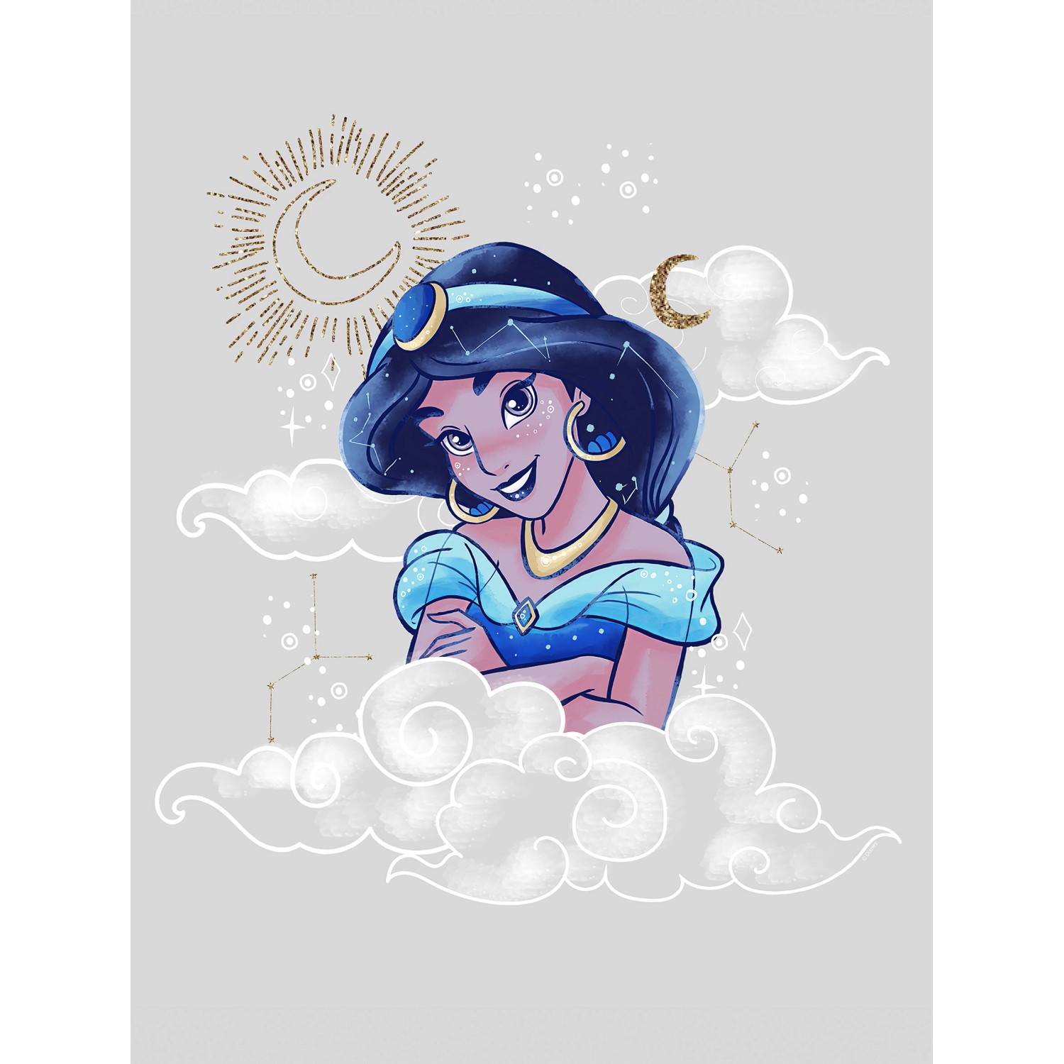 Disney Poster Jasmin Alladin Grau und Blau 30 x 40 cm 611704 günstig online kaufen