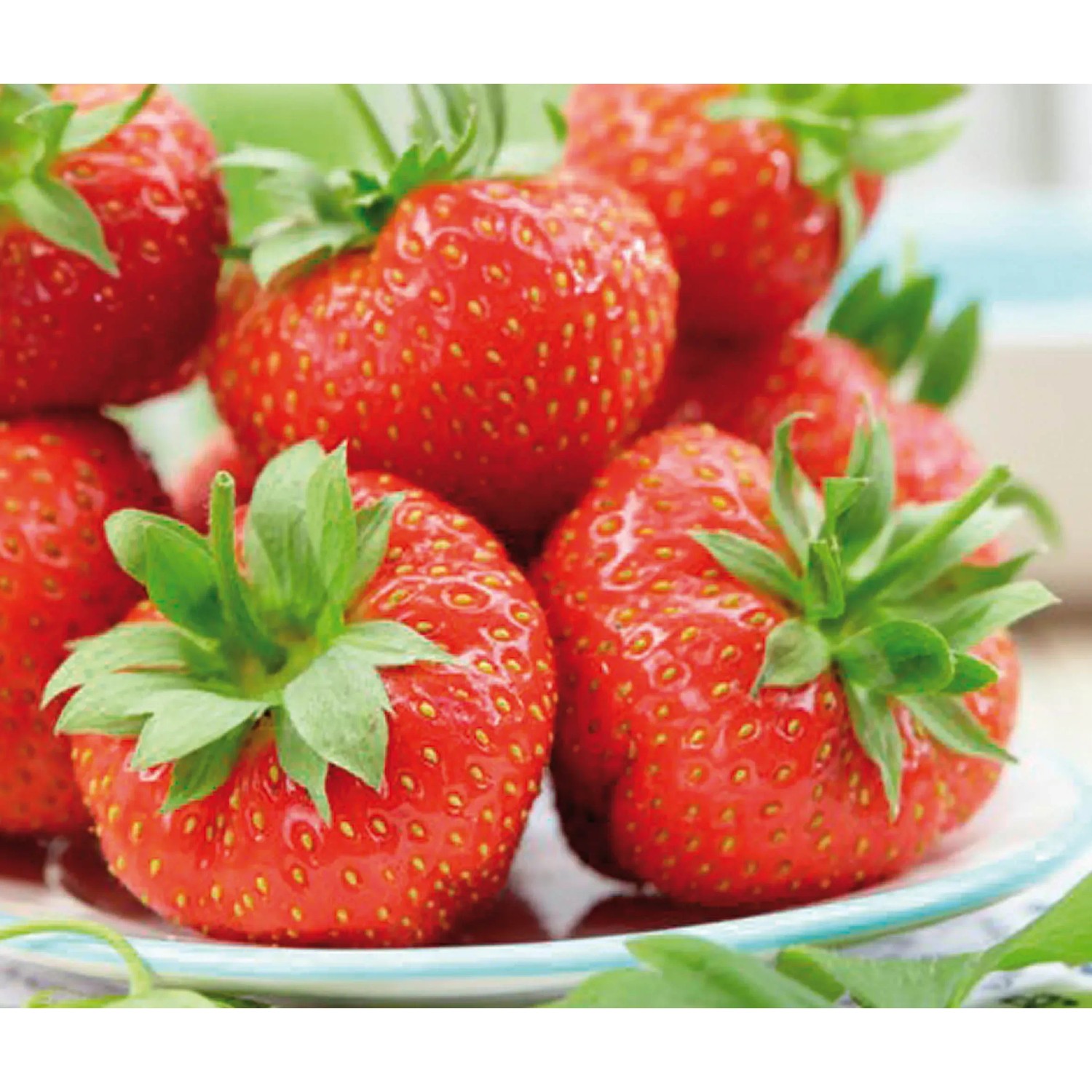 GROW by OBI Küchen Garten Erdbeeren "Sonata" Rot kaufen bei OBI
