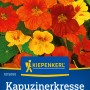 Kiepenkerl Kapuzinerkresse niedrige Mischung, mehrfarbige Blüten in Gelb-, Orange- und Rottönen.