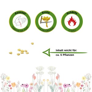 Samen der Chili Biquinho Vermelho von Deine Gartenwelt: Aussaat, Ernte, Schärfe und Pflanzenanzahl.