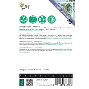 Samentüte Eukalyptus 'Lemon Bush' für Innenkultur, Buzzy House Plants. Citronella Duft hält Mücken fern.