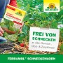 Neudorff Ferramol Schneckenkorn 1kg Packung im Einsatz gegen Schnecken im Garten.