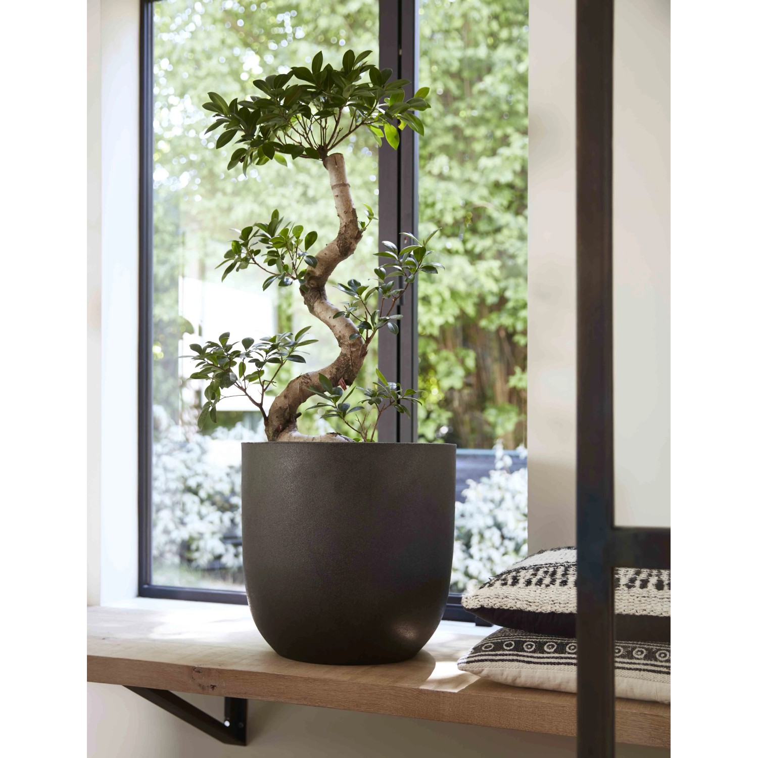 Schwarzer, runder Capi Pflanztopf „Smooth“ (Ø 43 cm) mit Pflanze auf Fensterbank.