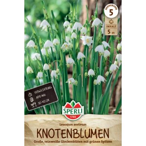 Sperli Sommerknotenblume: Packung mit weißen, glockenförmigen Blüten für Beet und Vase.