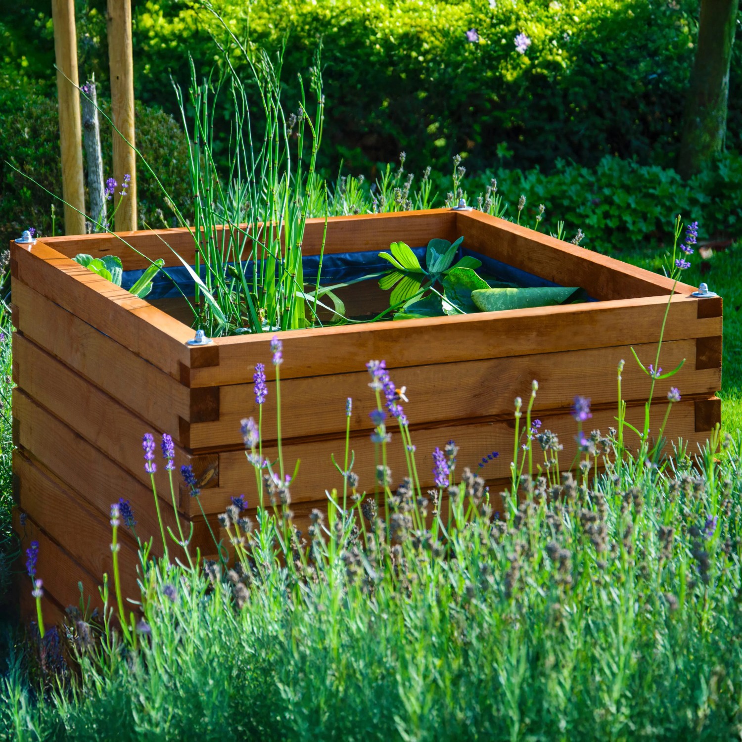 Quadratischer Dobar Gartenteich Alea aus Kiefernholz mit Teichfolie und Bepflanzung im Garten.