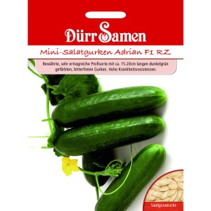 Dürr Samen Mini-Gurken Adrian F1 Rz Saatgut mit Gurken und Blüte.