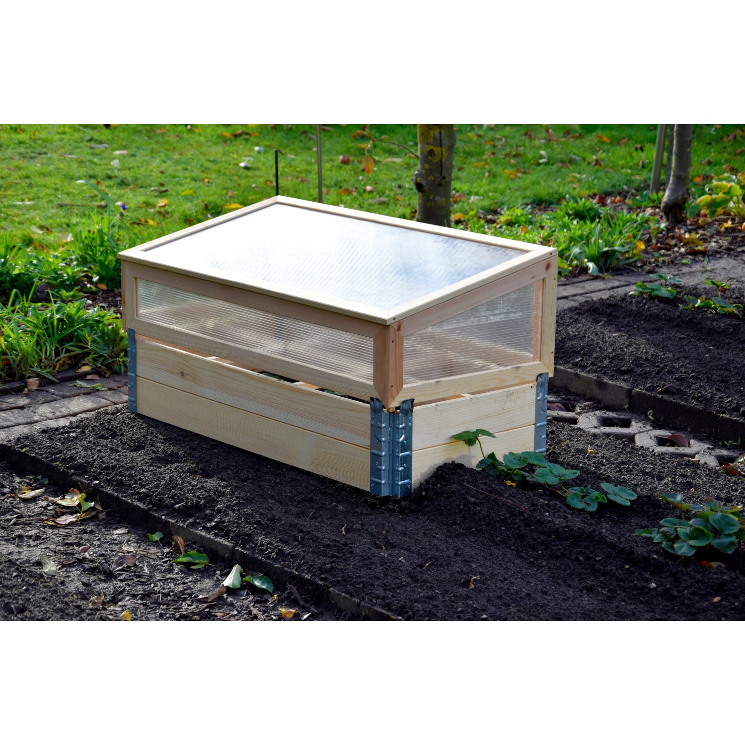 Frühbeet Pflanzbeet Größe L aus Kiefernholz mit Polycarbonat-Aufsatz im Garten.