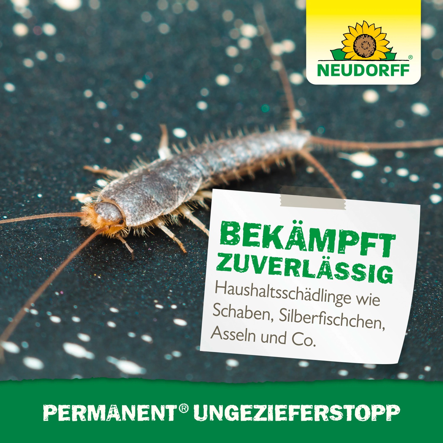 Silberfisch auf dunklem Untergrund, bekämpft mit Neudorff Ungezieferstopp Permanent.