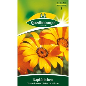 Quedlinburger Kapkörbchen 'Tetra Goliath' Blumensamen mit orangen Blüten.