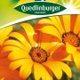 Quedlinburger Kapkörbchen 'Tetra Goliath' Blumensamen mit orangen Blüten.