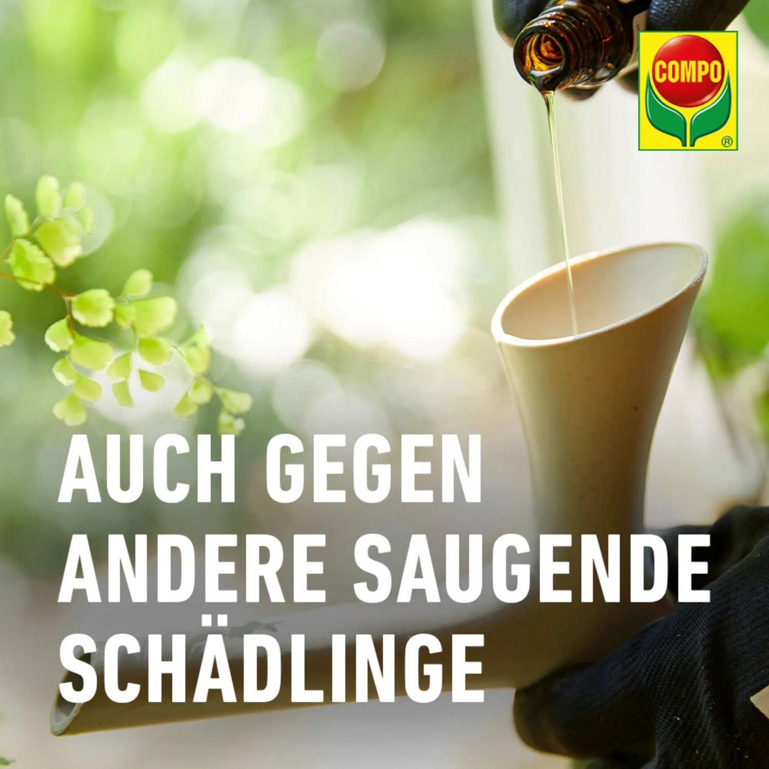 Compo Trauermücken-frei: Flüssigkeit wird in ein Gefäß gegossen, um Schädlinge an Pflanzen zu bekämpfen.