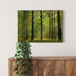 Bricoflor Leinwandbild Wald mit Sonnenstrahlen, grüne Wanddeko für Wohnzimmer & Schlafzimmer.