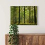 Bricoflor Leinwandbild Wald mit Sonnenstrahlen, grüne Wanddeko für Wohnzimmer & Schlafzimmer.
