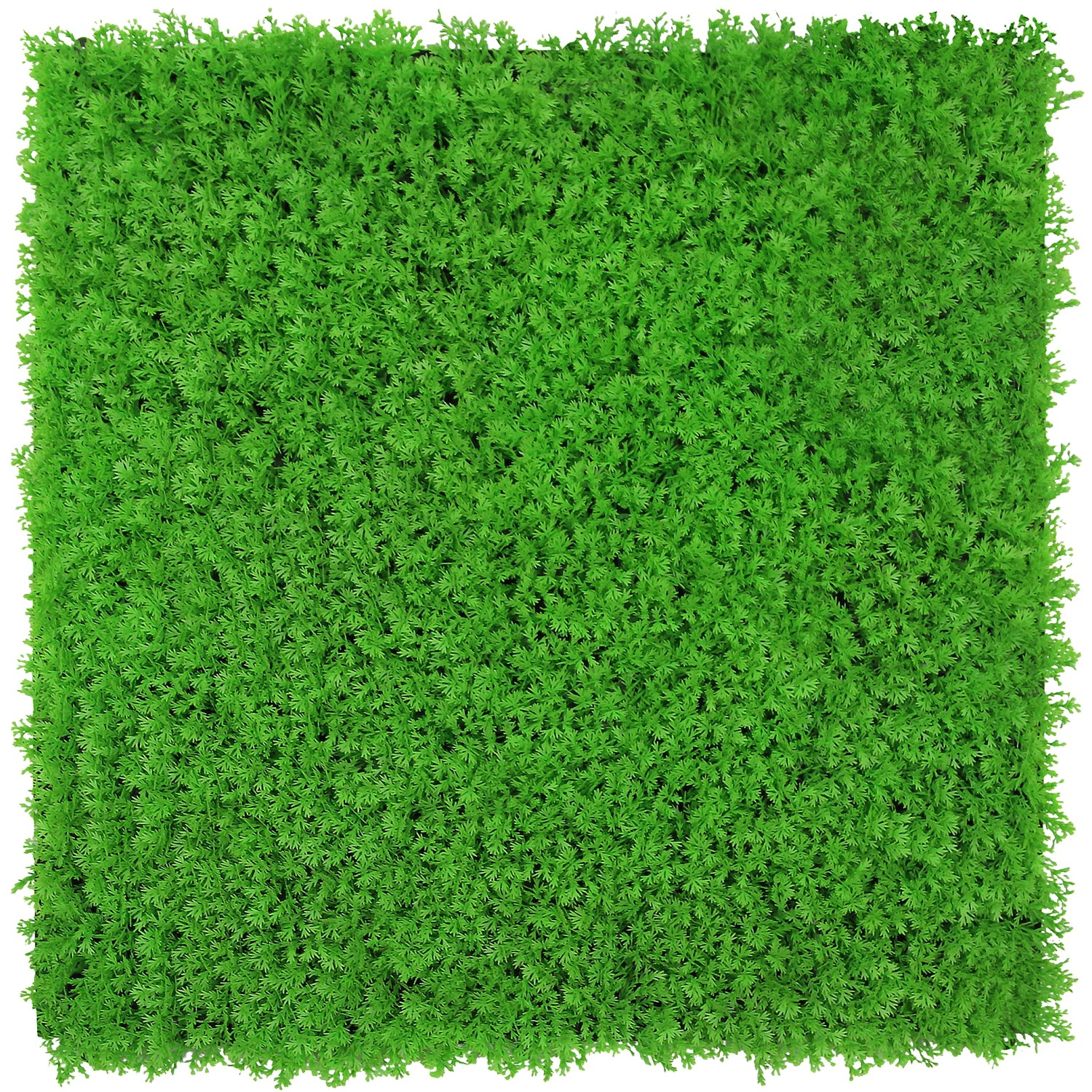 Jangal Wandpaneel Modular Wall Bright Green Design Grass 52 x 52 cm günstig online kaufen