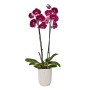 Elho Orchideentopf Vibes Fold, Ø 12,5 cm, leinenweiß, mit blühender, roter Orchidee.