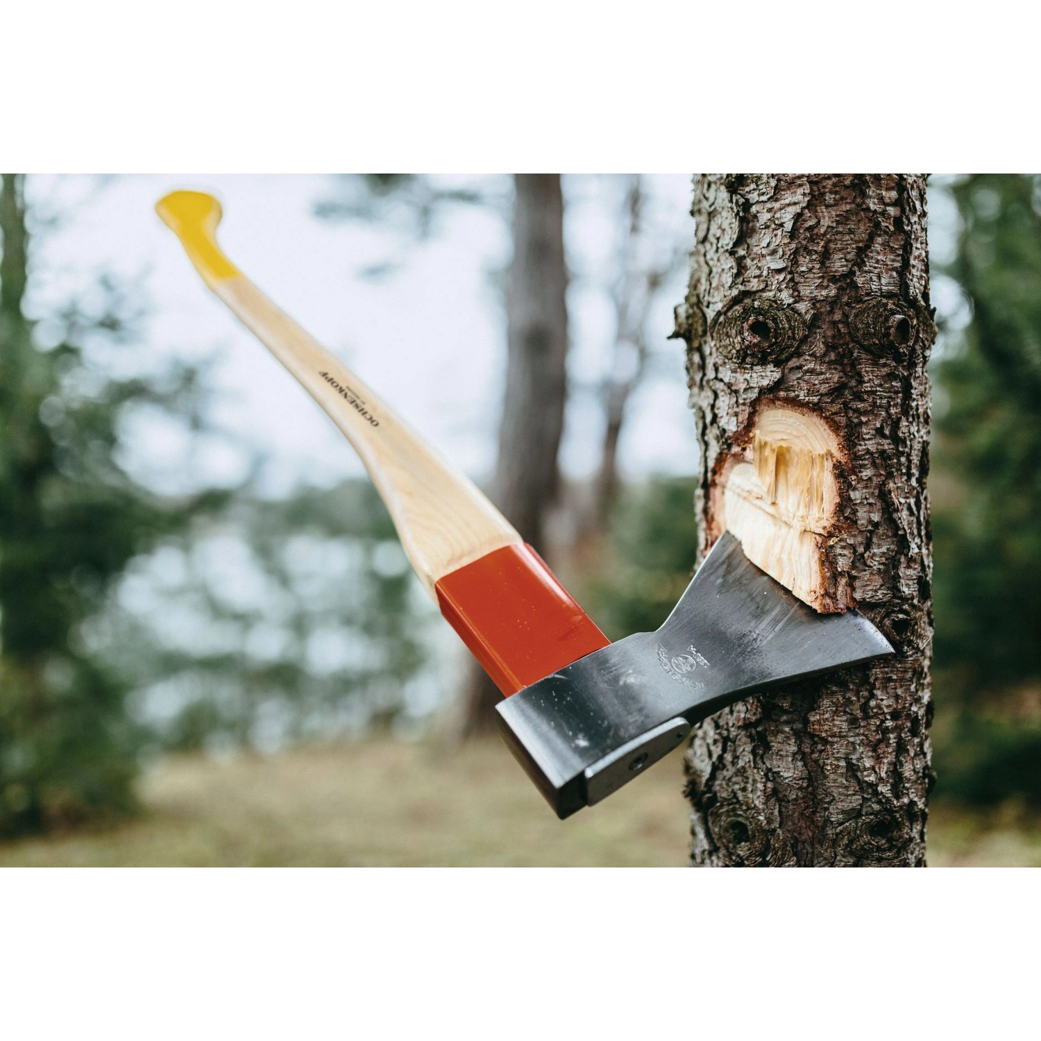 Ochsenkopf Forstaxt Universal Gold OX 620 H-1257 im Einsatz beim Fällen eines Baumes.