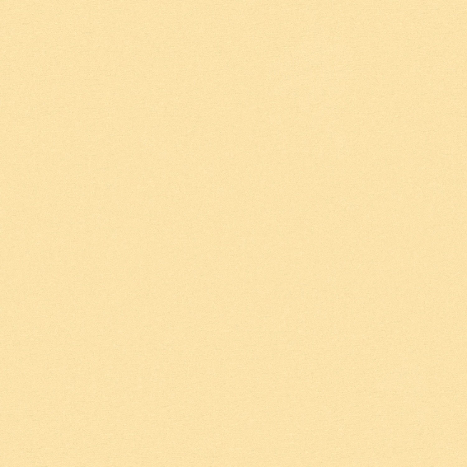 Bricoflor Vliestapete Orange Uni Einfarbige Tapete in Apricot Ideal für Kinderzimmer und Küche Vlies Wandtapete in Pfirsich