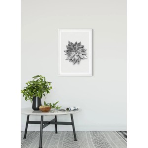 Komar Wandbild: Agave Sukkulente in Grautönen, 50x70 cm. Dekorative Bilder für Wohnräume.