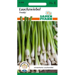 SAMEN PFANN Lauchzwiebel Winterhecke Freddy