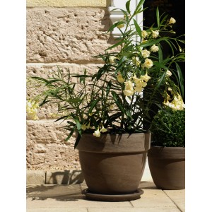 Basaltfarbener Pflanztopf Levante (Ø 30 cm) aus Terrakotta mit Pflanze.