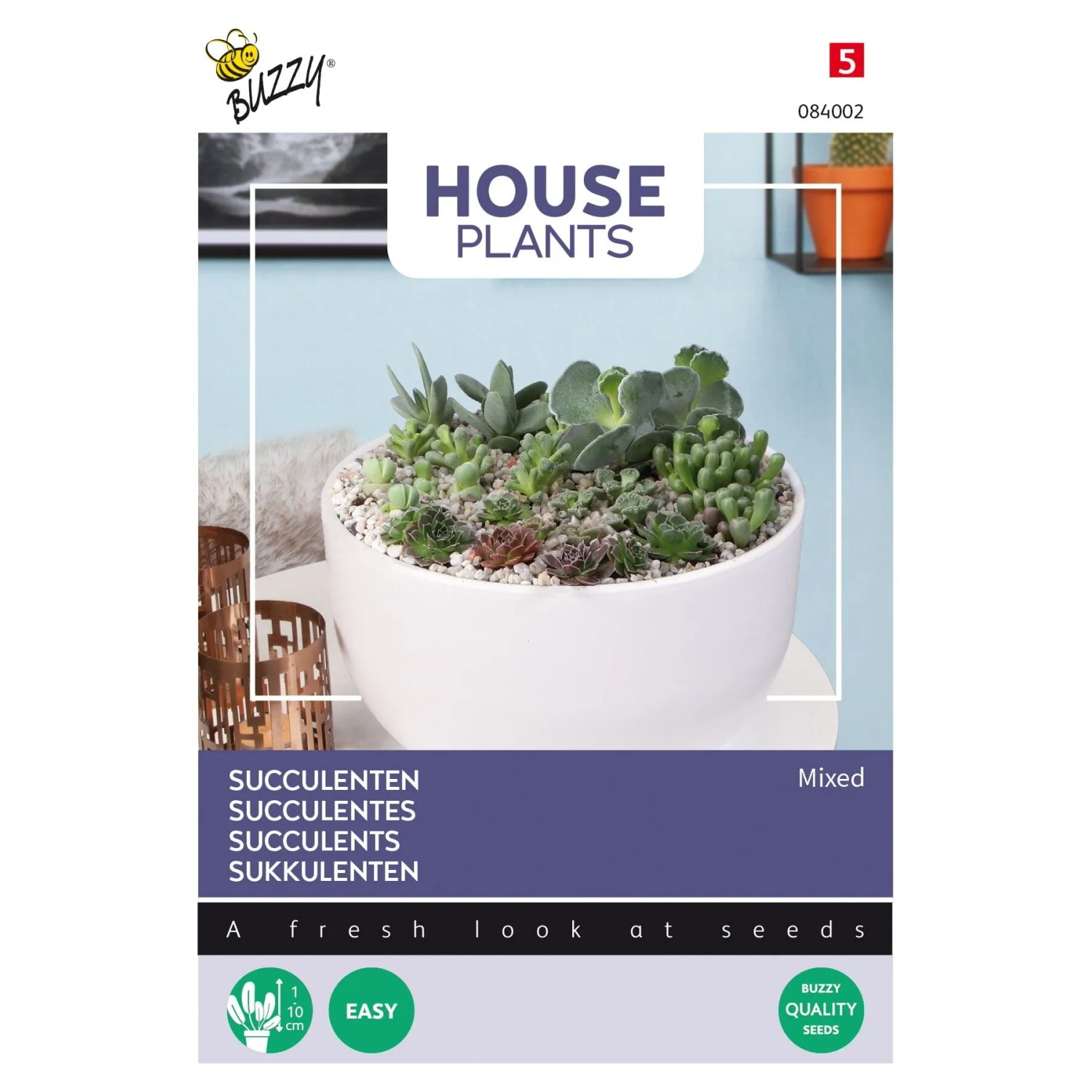 Sukkulenten-Mischung Buzzy House Plants Samen Ca. 7 Samen Für Arrangements